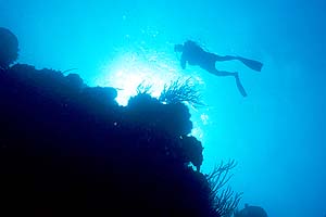 diver-silhouette.jpg (11733 bytes)