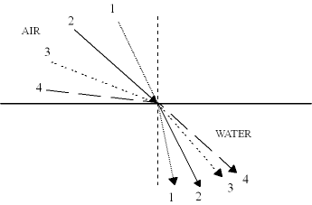 snell-2.gif (2419 bytes)